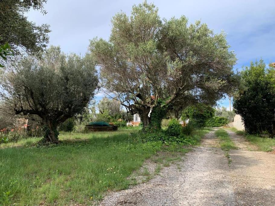 Casa Cal Duc, La Garriga Villa Eksteriør bilde
